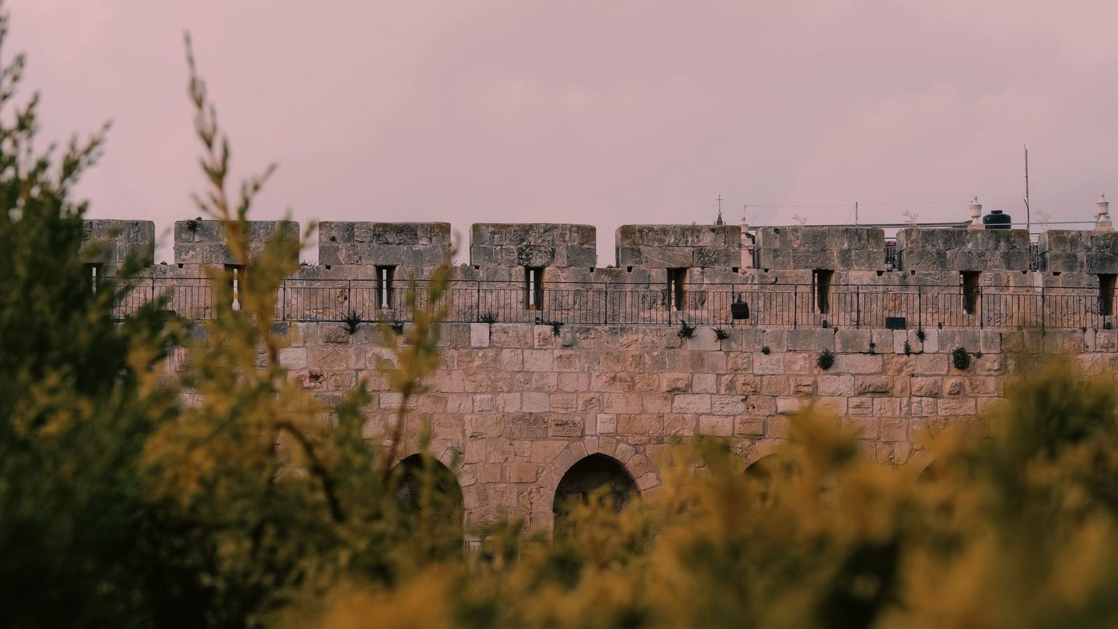 Sur Muhafızları